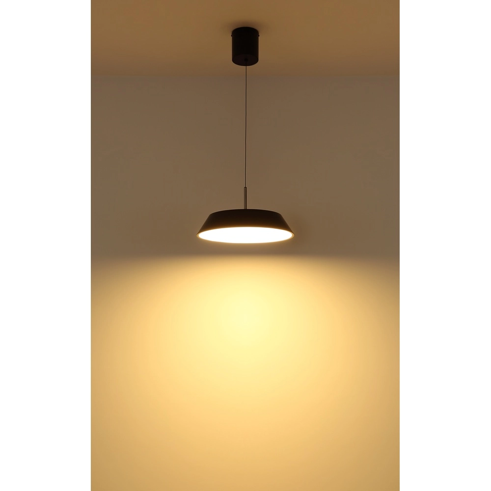 Elegante Pendellampe Silena schwarz Ø 40 cm Globo 9007371583232