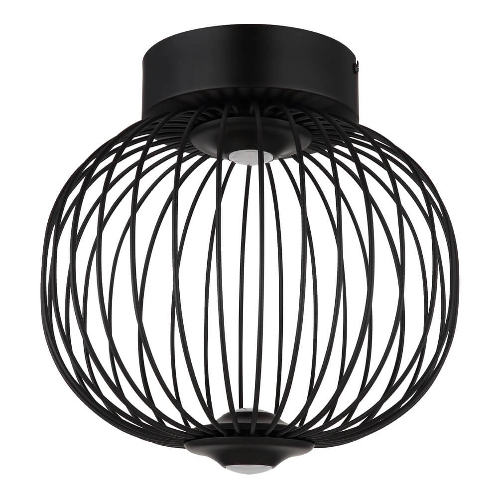 Schwarze Deckenleuchte Galway Einzelkäfig Ø 30cm Globo 9007371465330