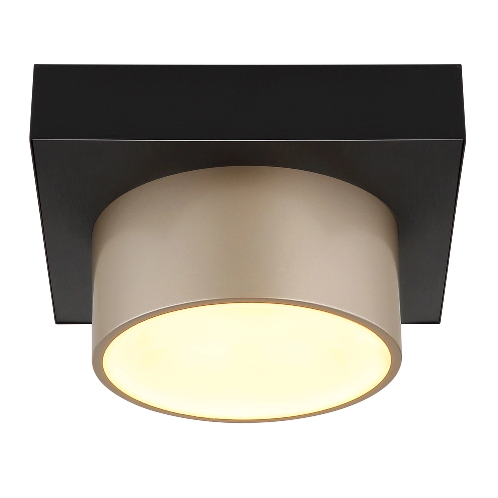 Deckenlampe Raymond schwarz mit Champagner Globo 9007371569373
