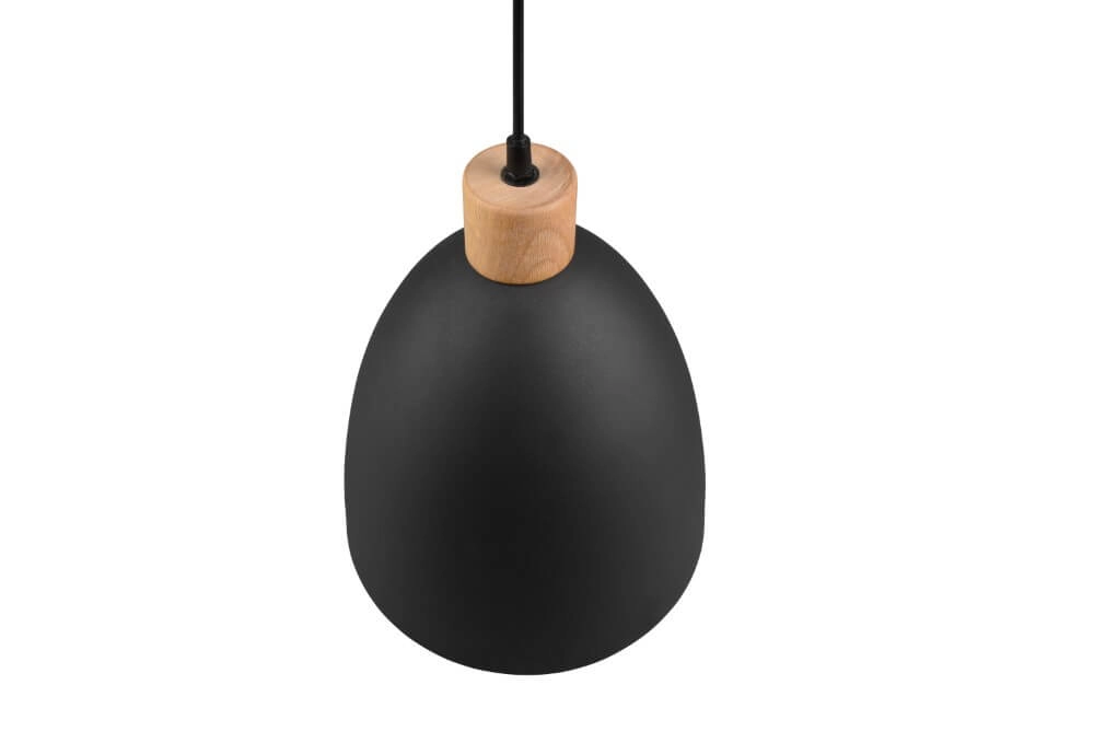 Hängelampe Jagger Schwarz mit Holzbraun Trio 4017807503197