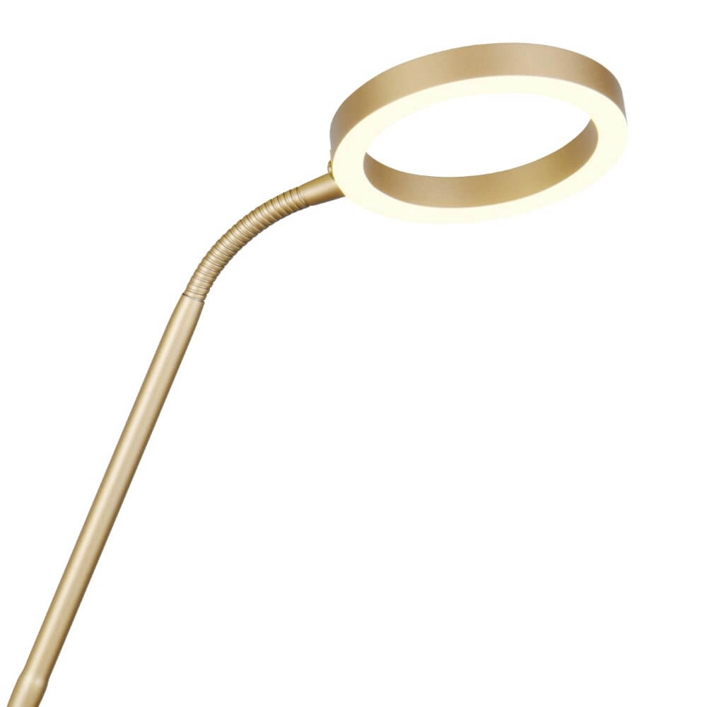 Design-Leselampe Willis Gold – 180 cm Trio 4017807627923