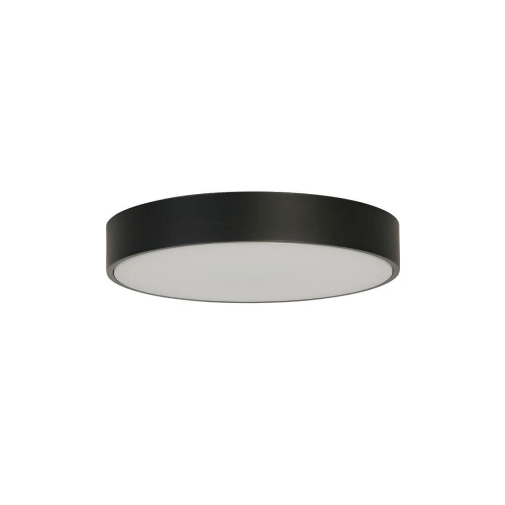 Deckenlampe Palma Schwarz mit weißem Fenster Searchlight 5053423273303