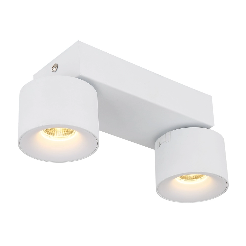 Elegante Deckenlampe Rae 2-Licht weiß Globo 9007371450640