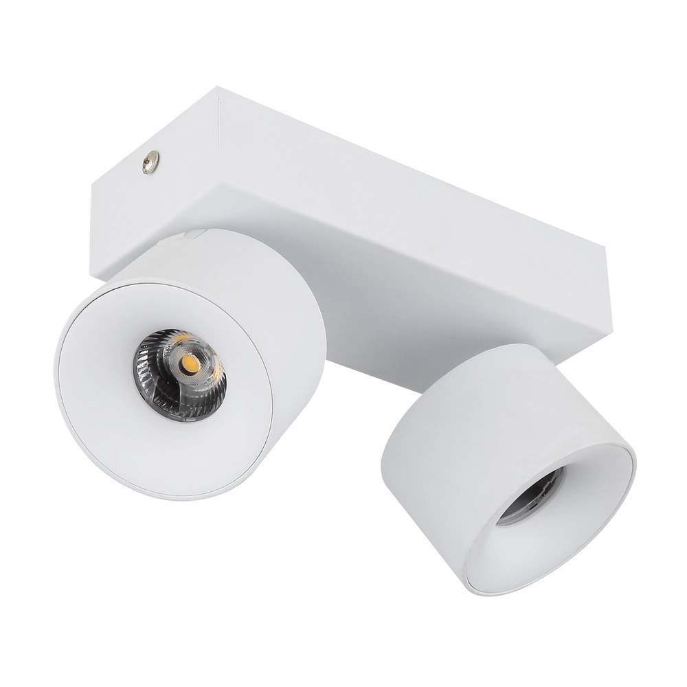Elegante Deckenlampe Rae 2-Licht weiß Globo 9007371450640