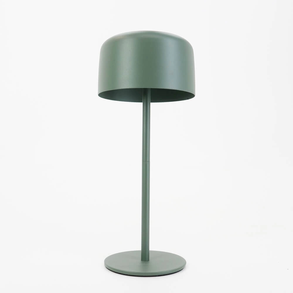 Schlanke Tischleuchte Roccanova Solar Green mit USB Eglo 9008606355051