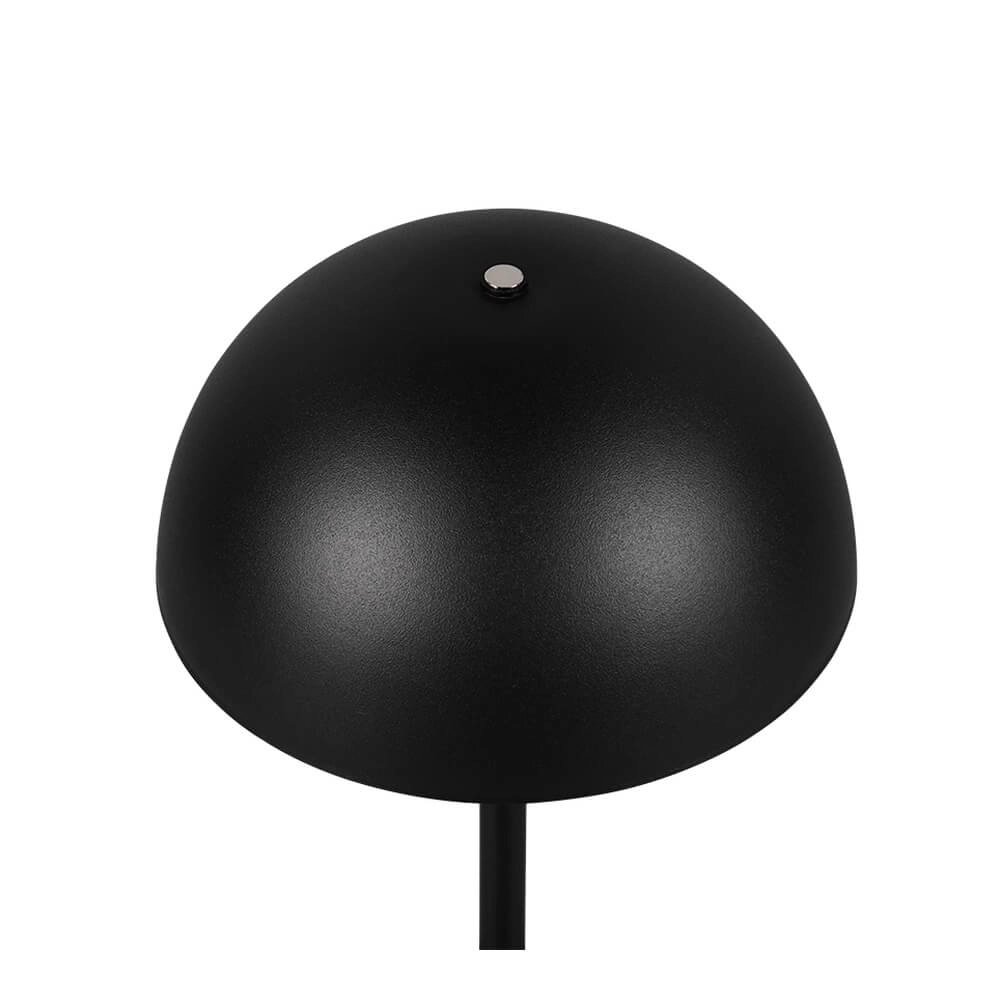 Tischlampe Munoz schwarz Ø 13cm Trio 4017807640830