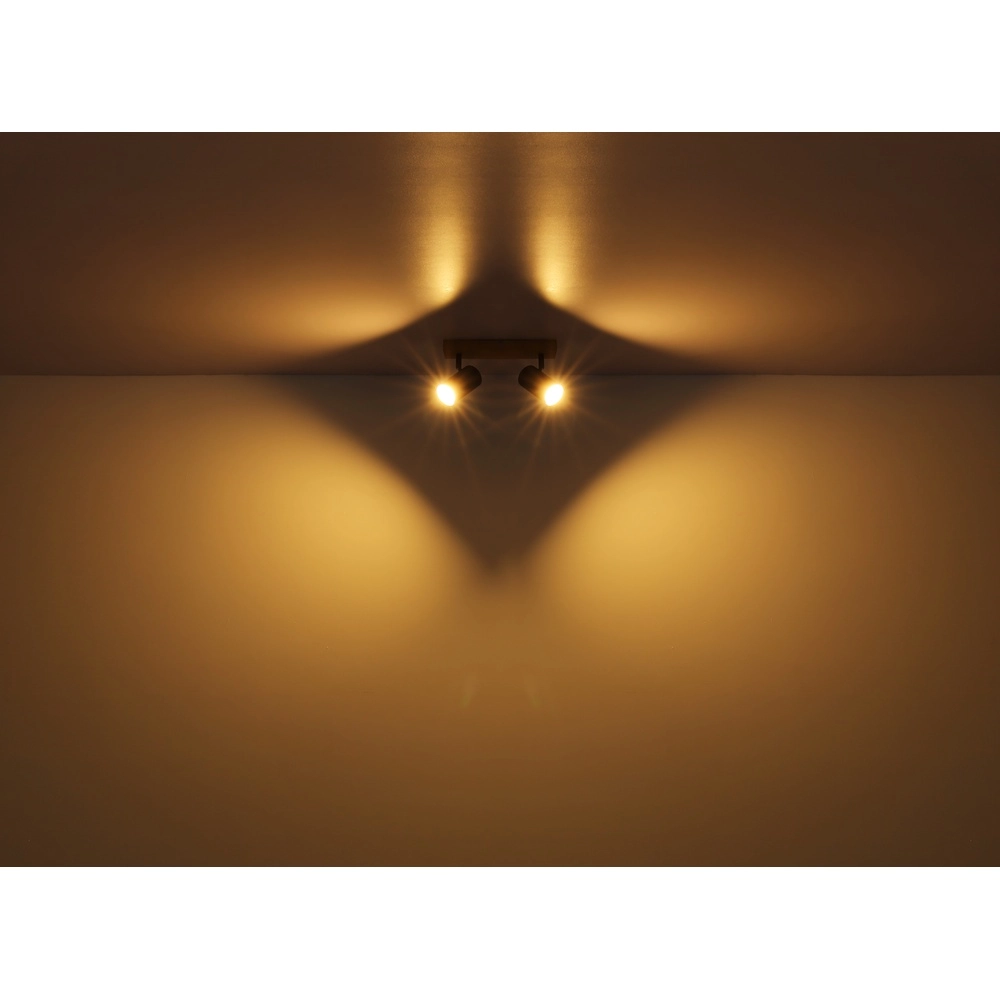 Deckenlampe 2-Leuchten Robby Holz Globo 9007371430529