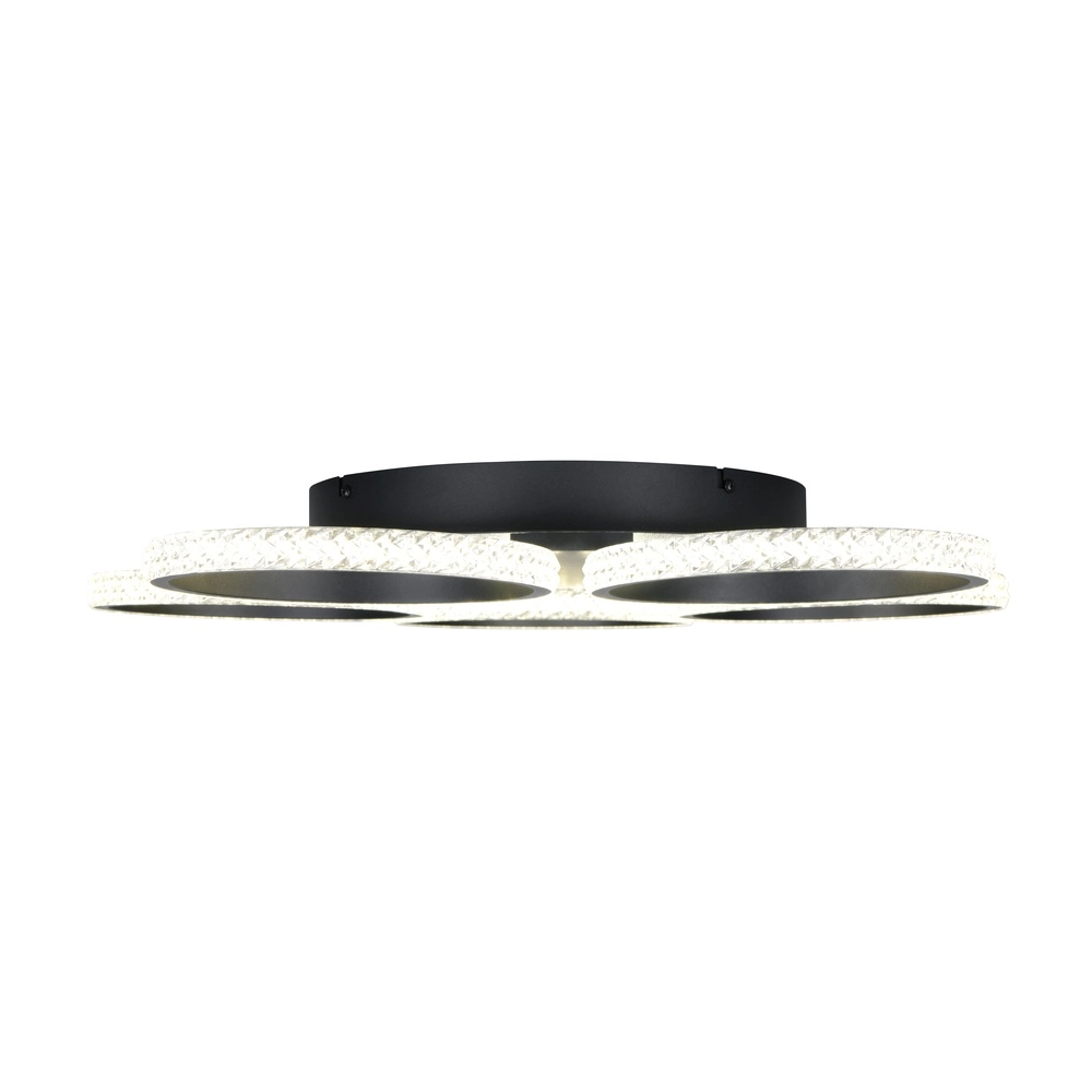 Deckenlampe Lumer Schwarz Trio 4017807706390