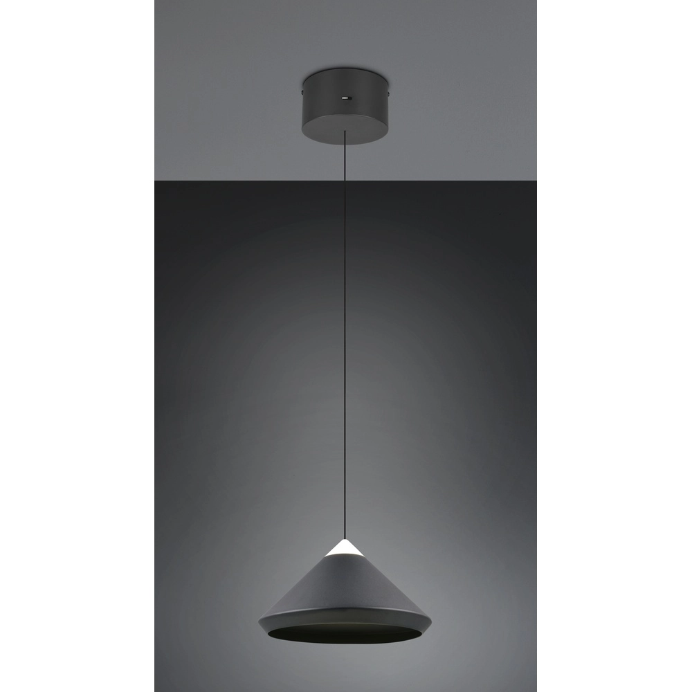 Moderne Pendelleuchte Laguna Ø 30cm schwarz Trio 4017807677508