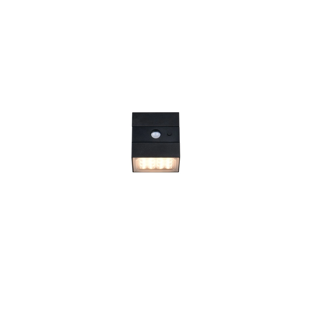 Wandlampe Talca Schwarz Trio 4017807691658