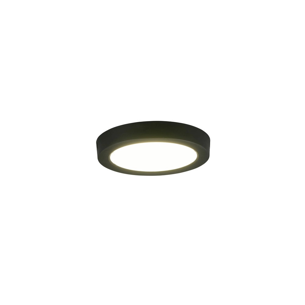 Deckenlampe Laru Ø 21,5 cm schwarz Trio 4017807711523