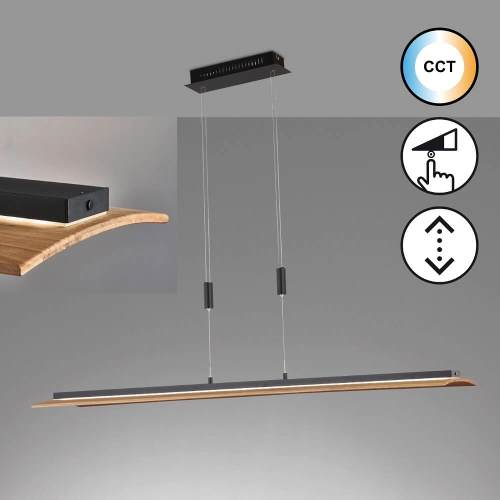 Hängelampe Shine-Wood Schwarz Fischer & Honsel 4003694610773