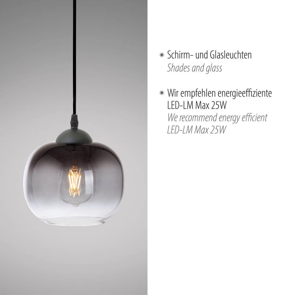 Schwarze Hängelampe Zea einzel Just Light 4043689993740
