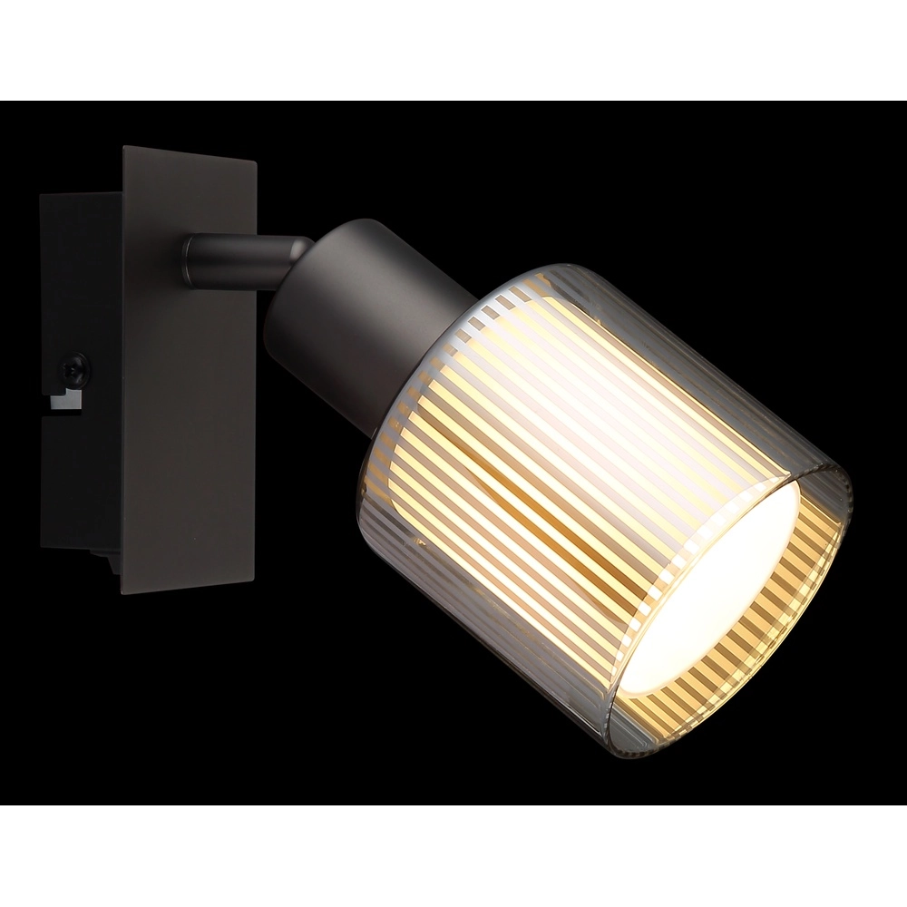 Design-Wandlampe Villegas Gunmetal Globo 9007371569946