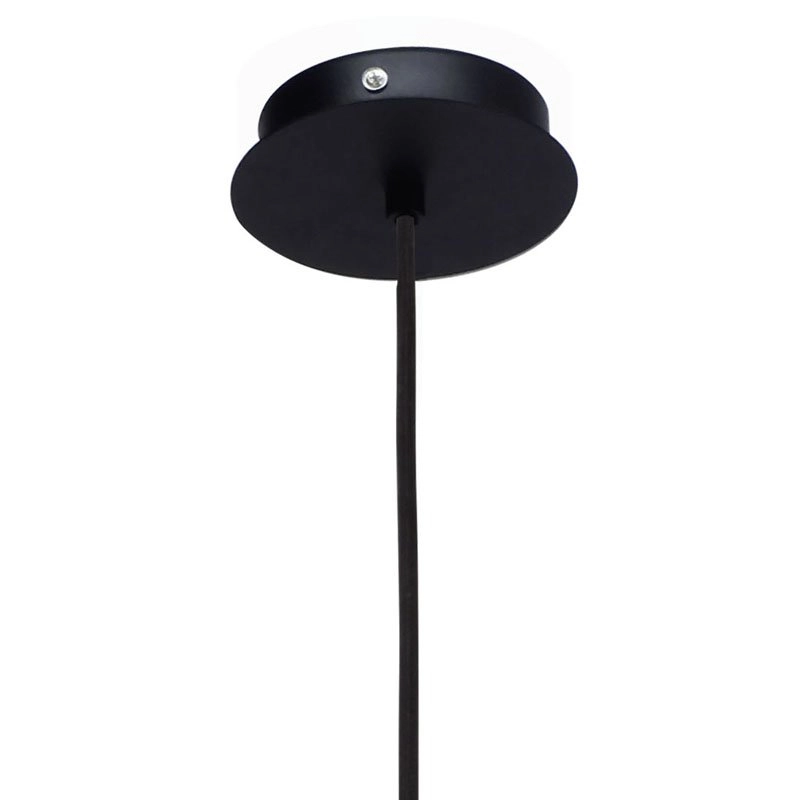 Pendelleuchte Carlton schwarz Eglo 9002759492571