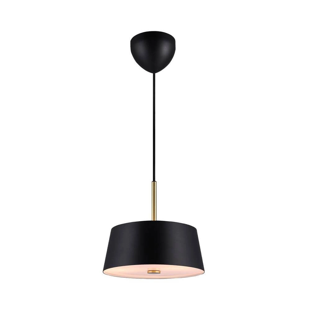 Schlanke Pendelleuchte Clasi schwarz Ø 29cm Nordlux 5704924015922