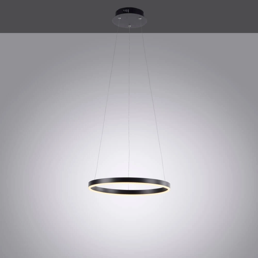 Schwarze LED-Hängelampe Ritus Ø 40cm Paul Neuhaus 4043689983949