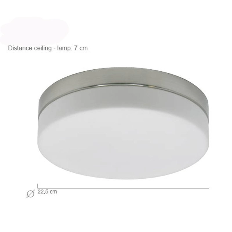 LED-Deckenlampe Ceiling 22 cm 2950K Metallgrau Steinhauer 8712746115284