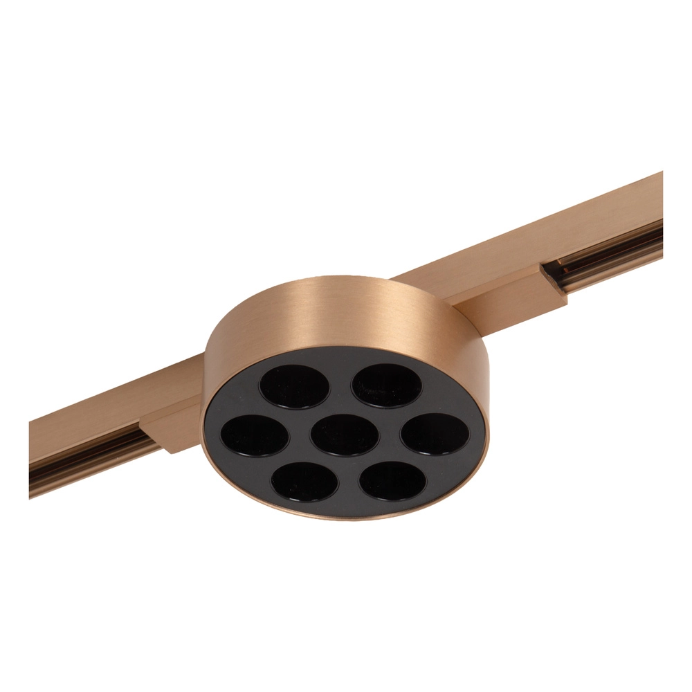 Einphasen-Gleis-Spot Linial Xavi Champagner Premium by Lucide 5411212552556