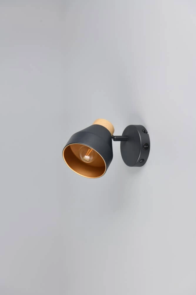 Design-Wandleuchte Valentin schwarz Trio 4017807637397