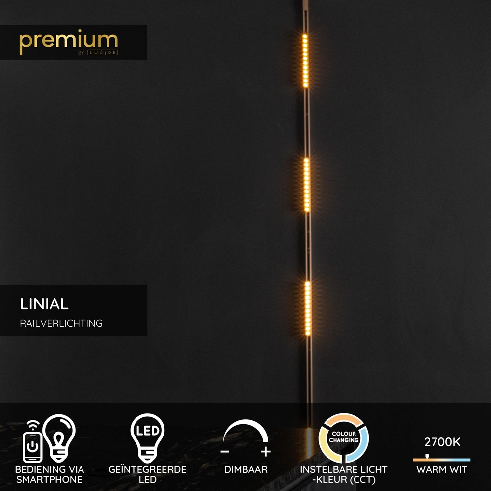 Einphasen-Gleis-Spot Linial Xenia Champagner Premium by Lucide 5411212552570