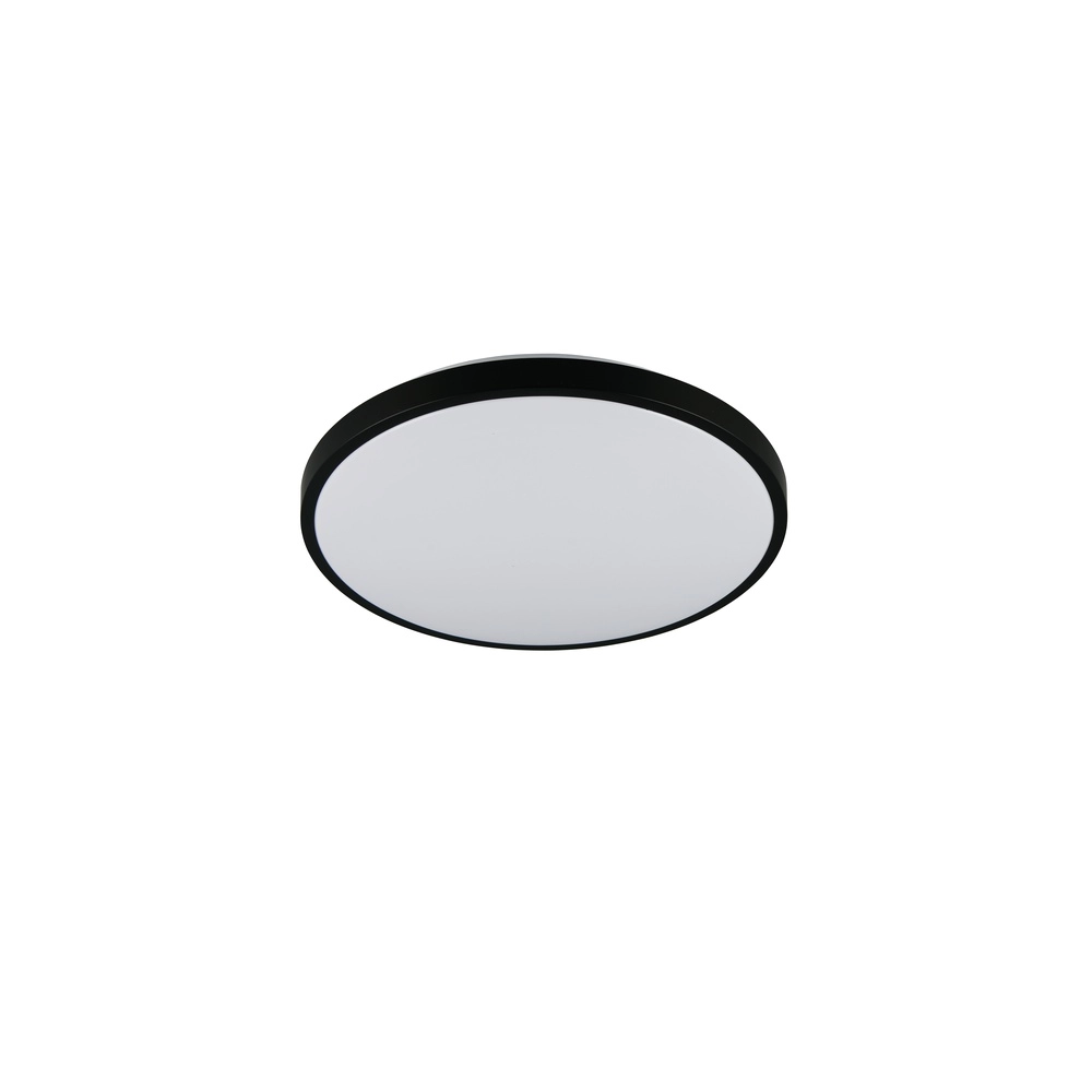 Deckenlicht Slope Schwarz Trio 4017807668643