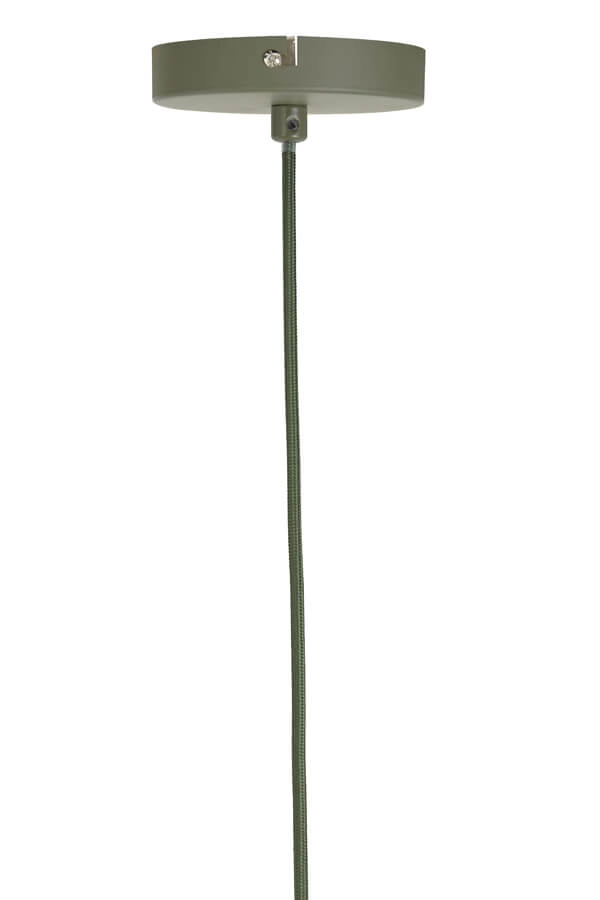 Grüne Pendelleuchte Plumeria Ø 50cm Light & Living 8717807651466