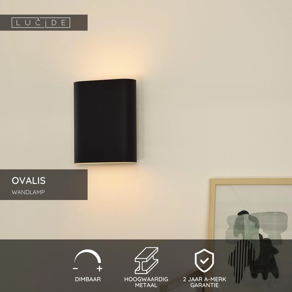 Schwarzwandscheinwerfer Ovalis Konstruktion Lucide 5411212126788