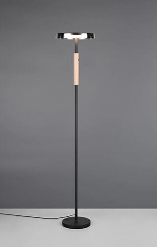 LED-Stehleuchte Celeste Rauchglas Trio 4017807616910