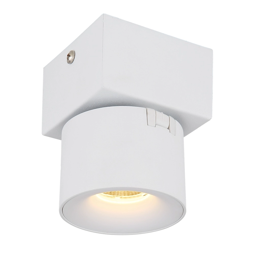 Elegante Wandlampe Rae Weiß Globo 9007371459636