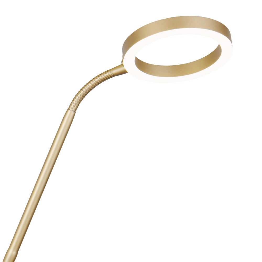 Design-Leselampe Willis Gold – 180 cm Trio 4017807627923