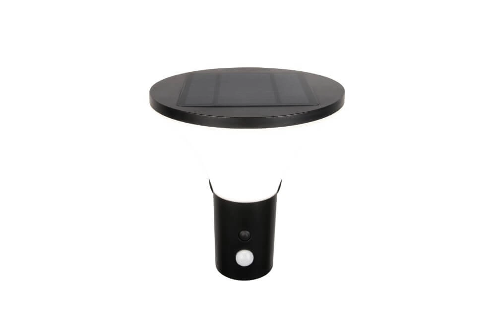 Solar-Außenlampe Gorda mit Bewegungssensor Trio 4017807622416