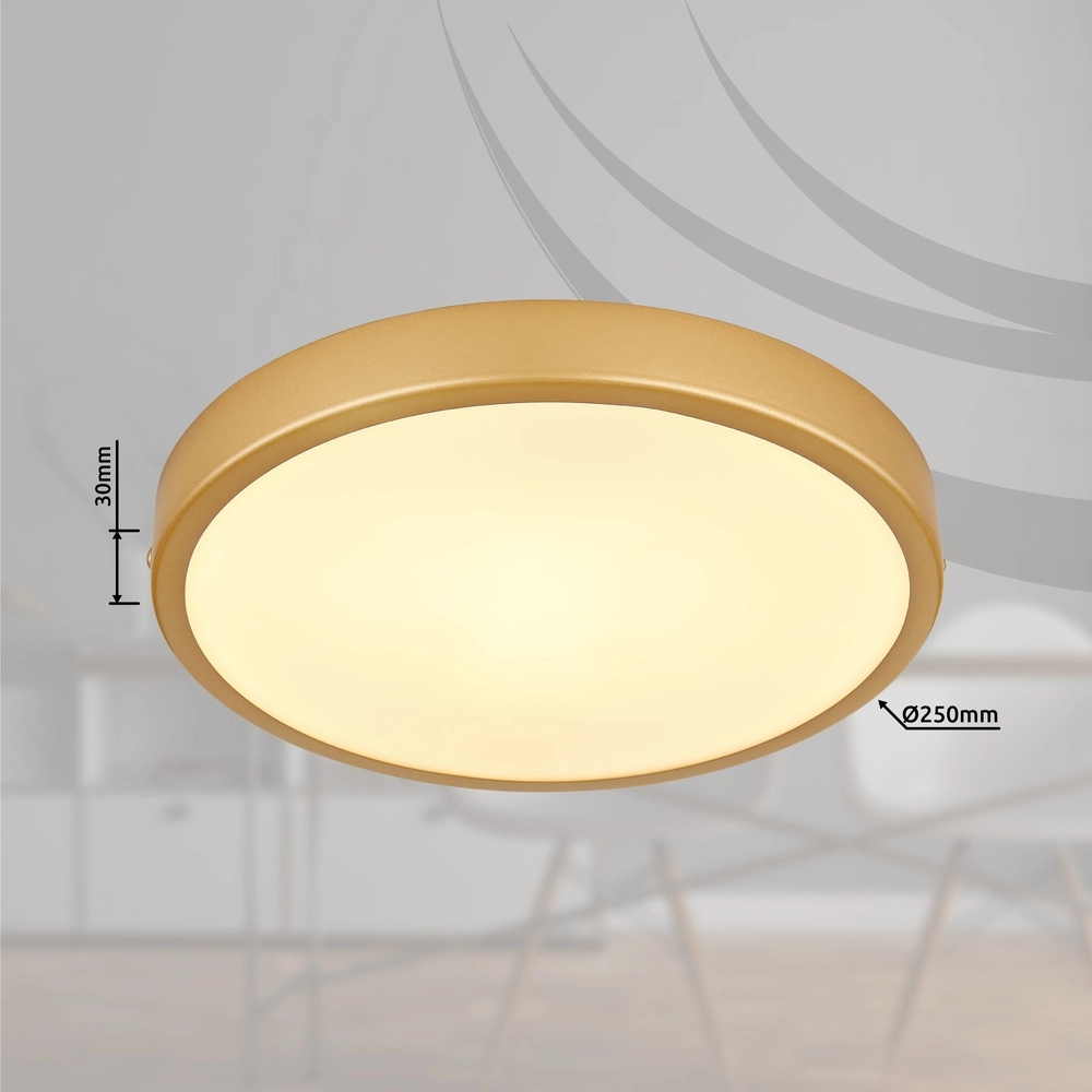 Deckenlicht Tibey Entwurf Gold Ø 25cm Globo 9007371451210