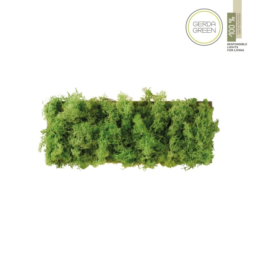 Rechteckige Deckenleuchte Green Carlo mit Moos Just Light 4043689994853