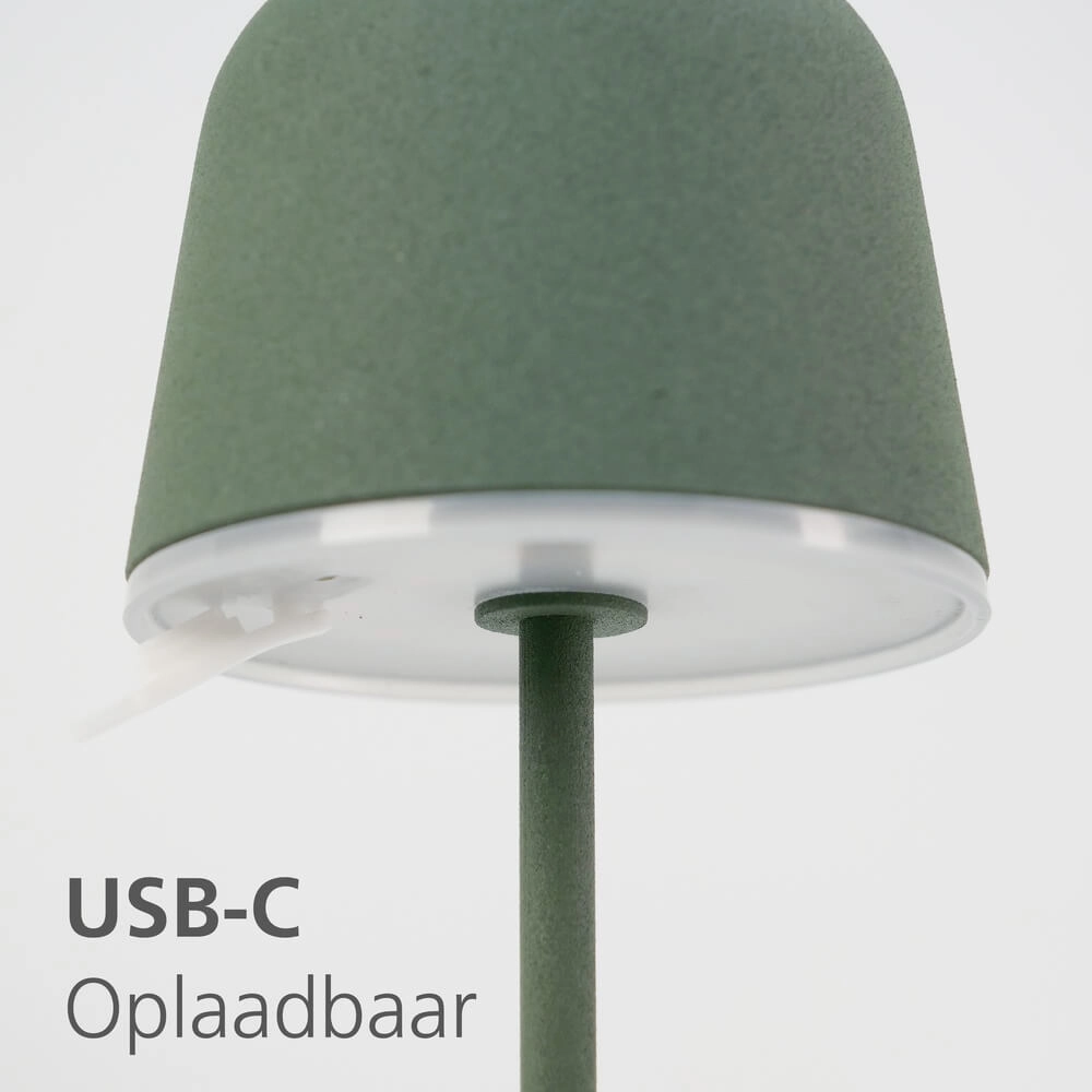 Tischlampe Mannera Grünes Design Eglo 9008606355563