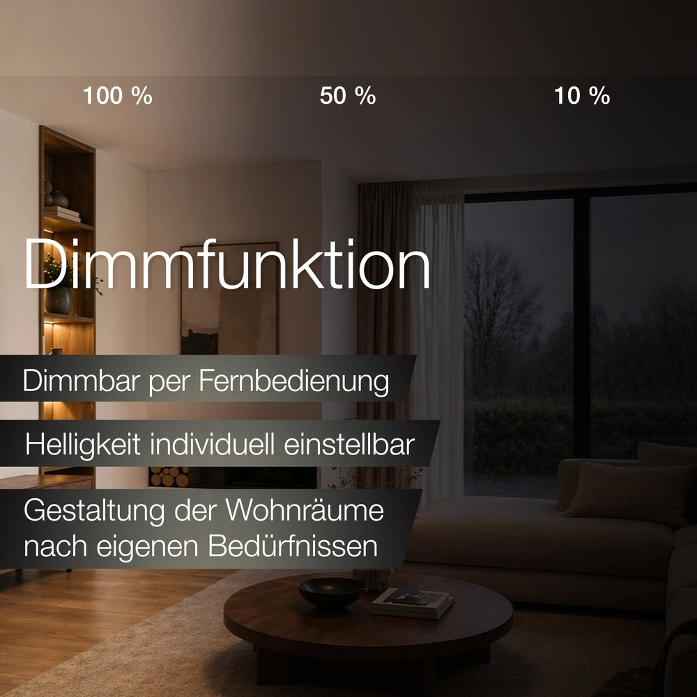 Deckenlicht Sky-Dream Weiß mit grauem Ø 39 cm Brilliant 4004353473982