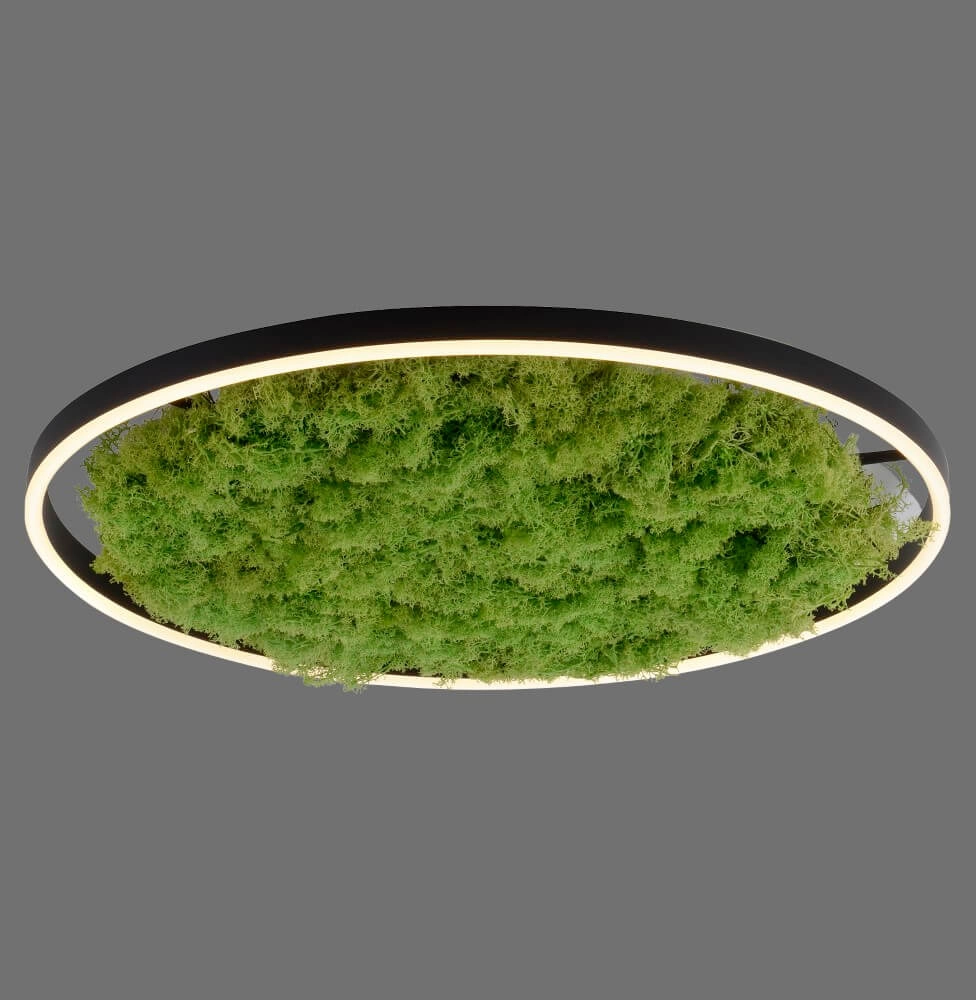 Deckenleuchte Green Ritus mit Moos Ø 58,5cm Just Light 4043689994808