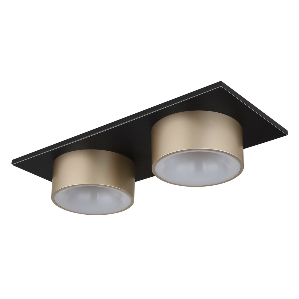 2-Licht Deckenlampe Raymond schwarz mit Champagner Globo 9007371522873