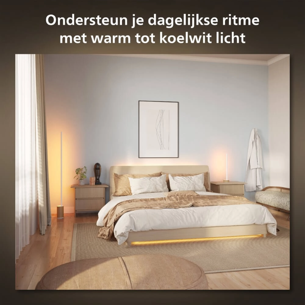 Intelligente Stehlampe Hue Signe - White and color Philips 8719514433526