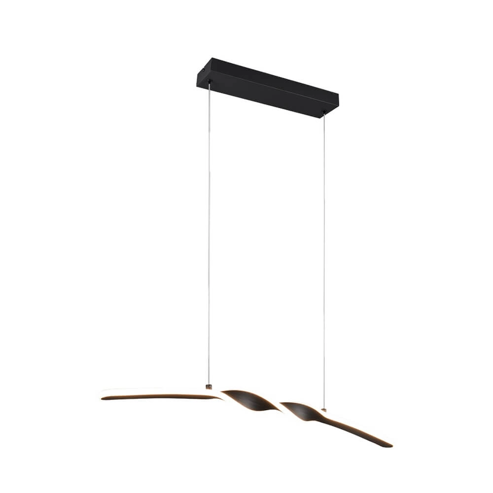 Design-Pendelleuchte Ginko schwarz