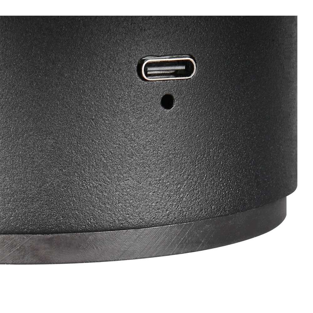 Schwarze Wandleuchte Davey Ø 15cm Trio 4017807643794