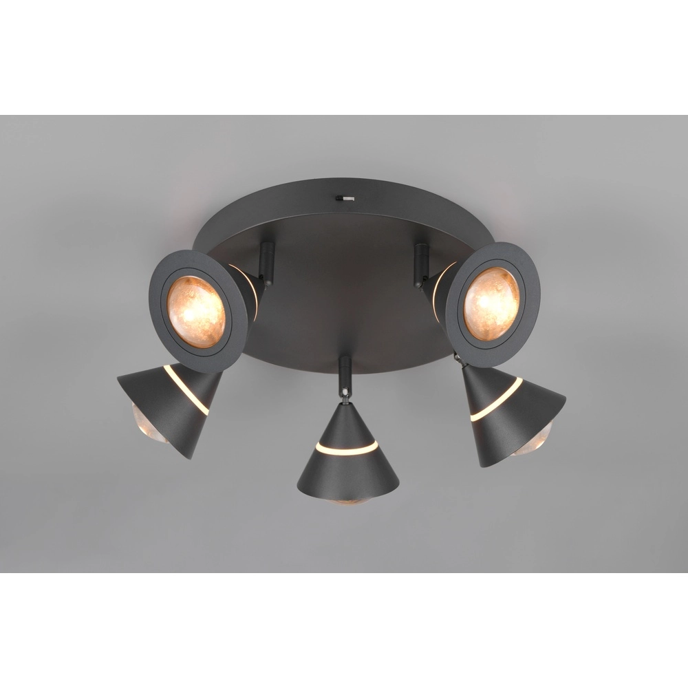 Deckenlampe Romeo schwarz Trio 4017807670417