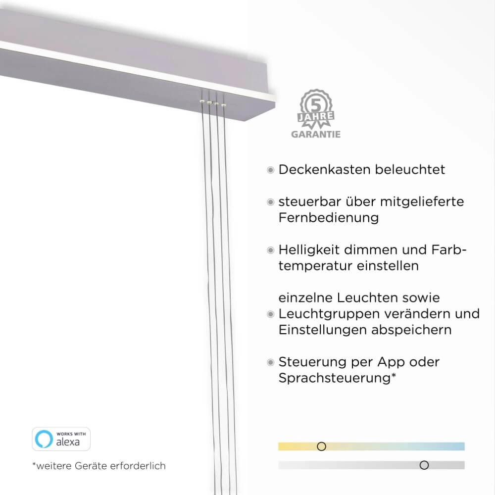 Hängelampe mit 2 Leuchten Q-Etienne Metall Paul Neuhaus 4012248350409