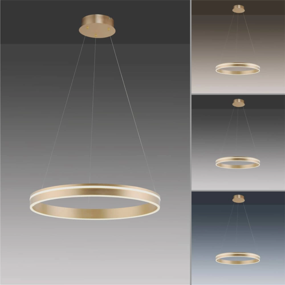 Design-Hängelampe Q-Vito Ø 59cm Messing Paul Neuhaus 4012248357767