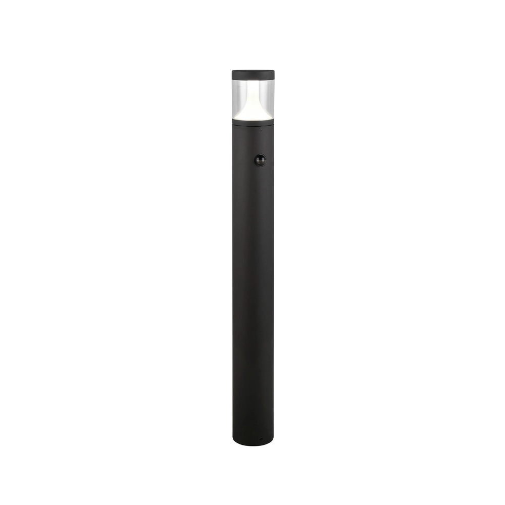 Gartenlampe Tagus Anthrazit 100 cm mit Sensor Trio 4017807686869