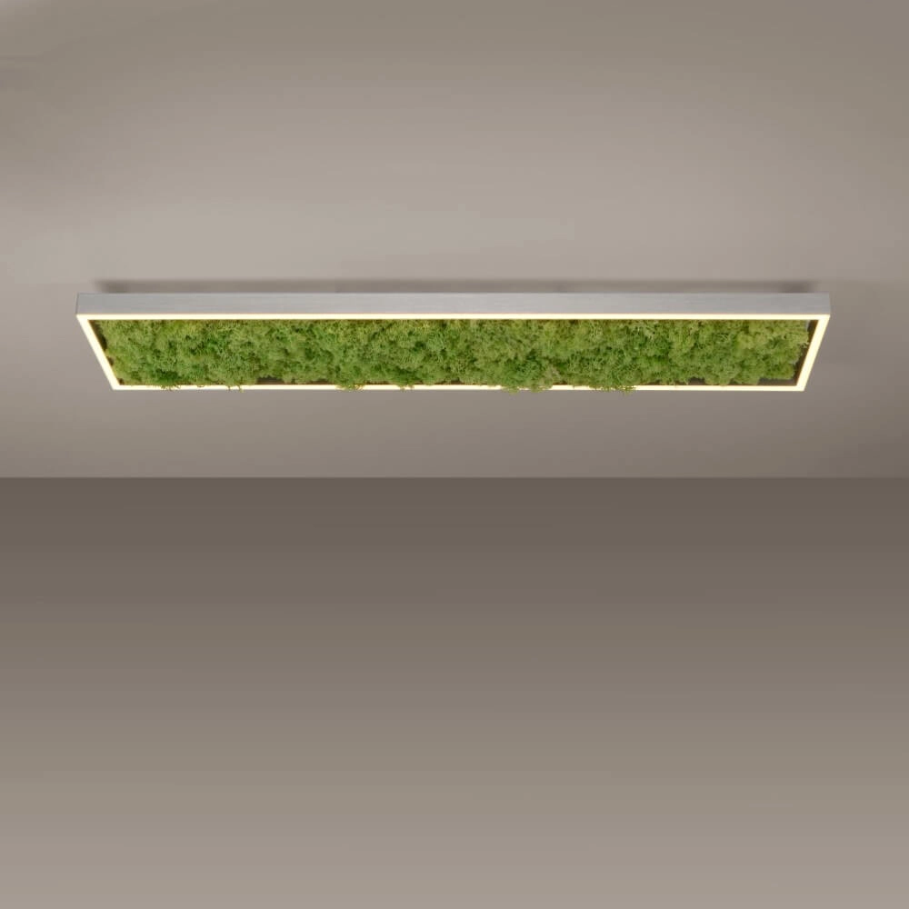 Rechteckige Deckenleuchte Green Knut mit Moos Just Light 4043689994846