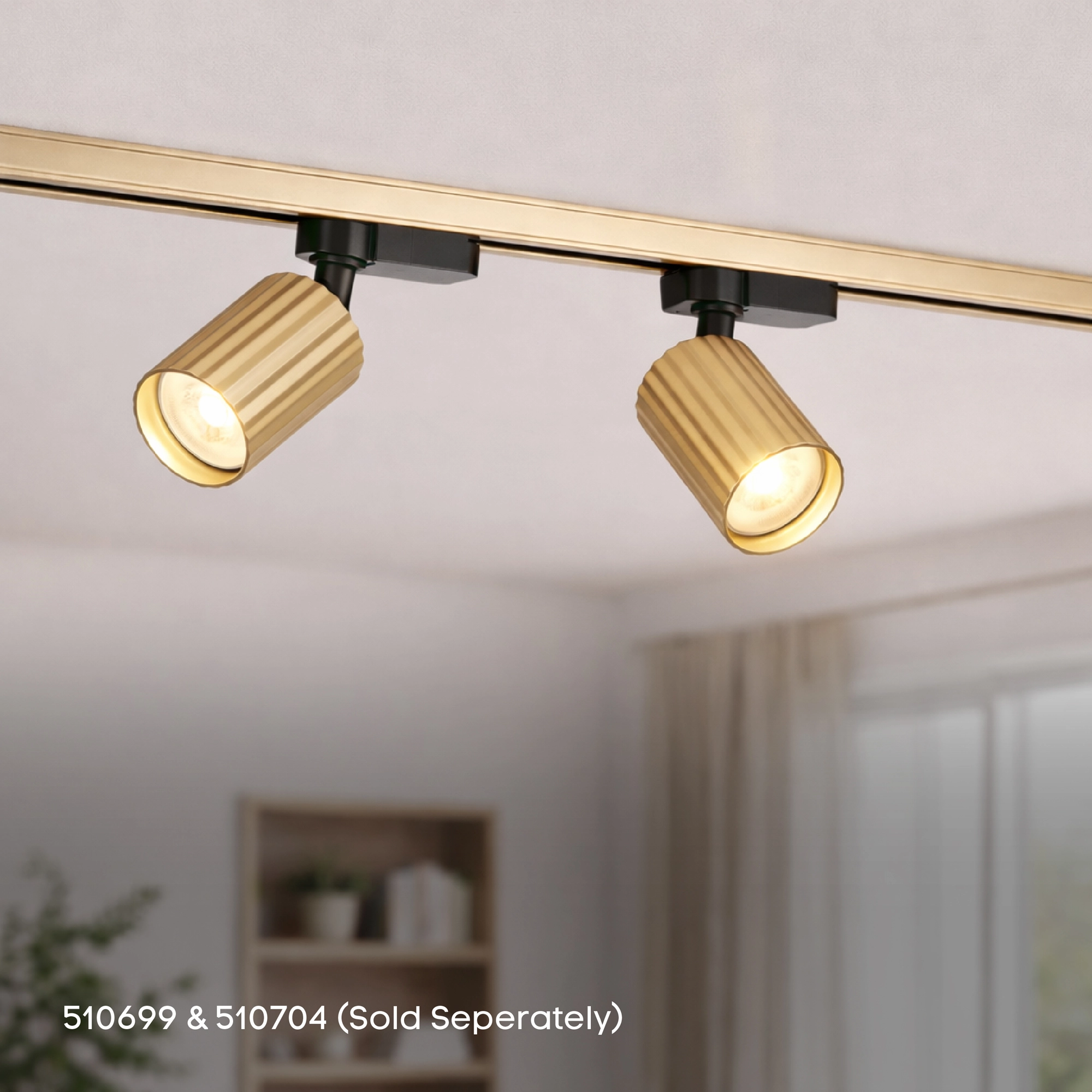 1 Meter Schiene mit Stromversorgung TraQ Gold Lyora 5053423316451