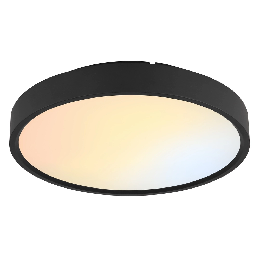 Deckenlicht Jess Schwarz Globo 9007371592470