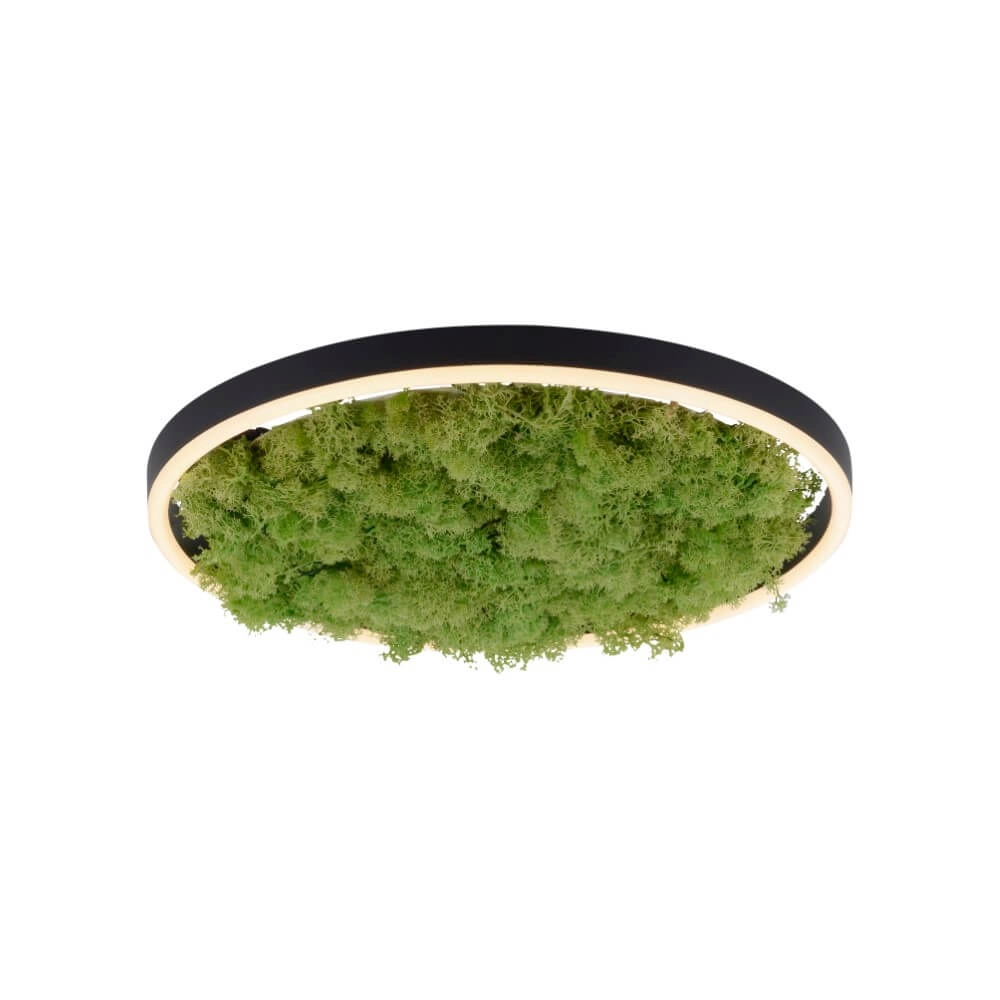 Deckenleuchte Green Ritus mit Moos Ø 39,3cm Just Light 4043689994792