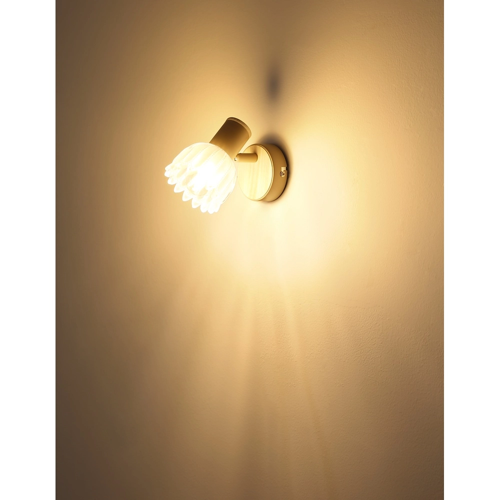 Wandstrahler Planta sandbraun Globo 9007371566938